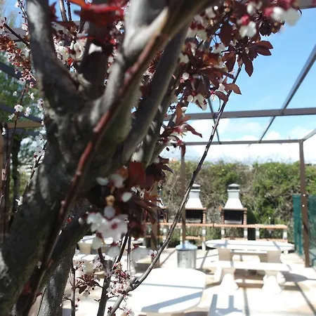 Apartmán A17 - Heaven Sun Da Rocha 1 Bed Portimão