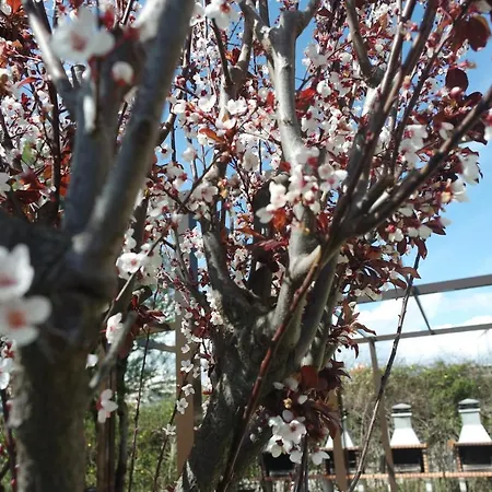 Apartamento A17 - Heaven Sun Da Rocha 1 Bed